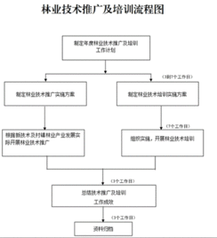 創(chuàng)新林業(yè)技術推廣培訓，助力林業(yè)現代化發(fā)展